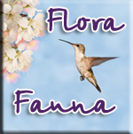 naxos flora fauna